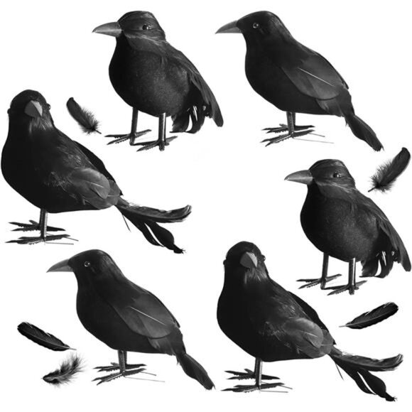 6 Packs Real Feathered Halloween Black Crows, Handmade Realistic Crow - Picture 1 of 7